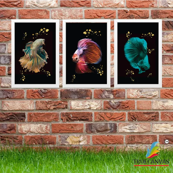 White__Abstract_Hd_Print_Painting_Set_Of_3_With_Frame_|_For_Home,_Living_Room_Gallery_&_Office,_White,_Size_-_13.50_X_19.50_Inch,_Sf052