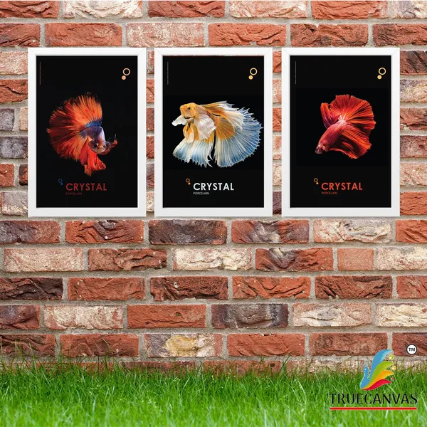 White__Abstract_Hd_Print_Painting_Set_Of_3_With_Frame_|_For_Home,_Living_Room_Gallery_&_Office,_White,_Size_-_13.50_X_19.50_Inch,_Sf053