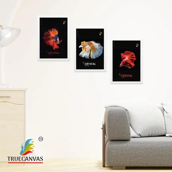 White__Abstract_Hd_Print_Painting_Set_Of_3_With_Frame_|_For_Home,_Living_Room_Gallery_&_Office,_White,_Size_-_13.50_X_19.50_Inch,_Sf053