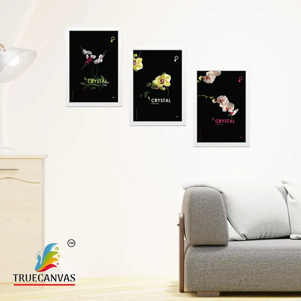 White__Abstract_Hd_Print_Painting_Set_Of_3_With_Frame_|_For_Home,_Living_Room_Gallery_&_Office,_White,_Size_-_13.50_X_19.50_Inch,_Sf075