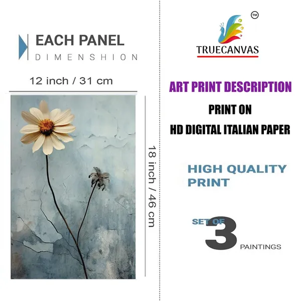 Multicolor_Abstract_Hd_Print_Painting_Set_Of_3_With_Frame_|_For_Home,_Living_Room_Gallery_&_Office,_White,_Size_-_13.50_X_19.50_Inch,_Sf152
