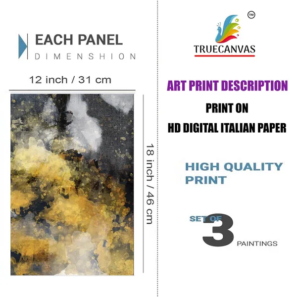 Multicolor_Abstract_Hd_Print_Painting_Set_Of_3_With_Frame_|_For_Home,_Living_Room_Gallery_&_Office,_White,_Size_-_13.50_X_19.50_Inch,_Sf161