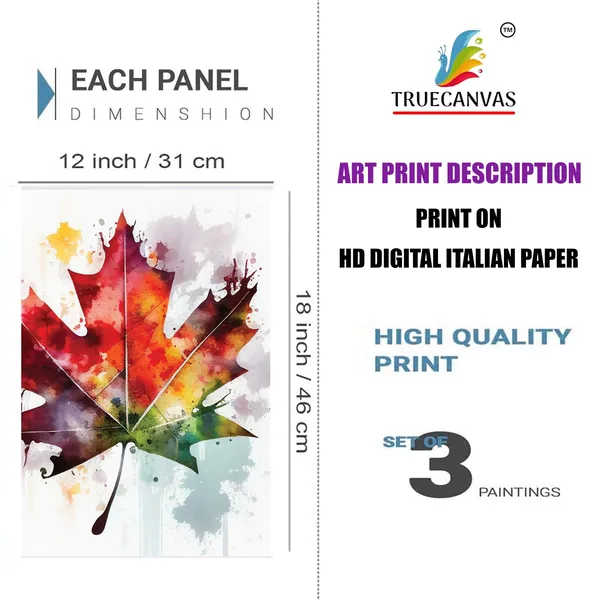 Multicolor_Abstract_Hd_Print_Painting_Set_Of_3_With_Frame_|_For_Home,_Living_Room_Gallery_&_Office,_White,_Size_-_13.50_X_19.50_Inch,_Sf177