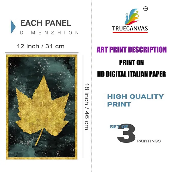 White__Abstract_Hd_Print_Painting_Set_Of_3_With_Frame_|_For_Home,_Living_Room_Gallery_&_Office,_White,_Size_-_13.50_X_19.50_Inch,_Sf212