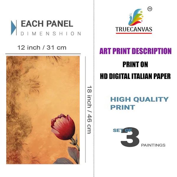 White__Abstract_Hd_Print_Painting_Set_Of_3_With_Frame_|_For_Home,_Living_Room_Gallery_&_Office,_White,_Size_-_13.50_X_19.50_Inch,_Sf216