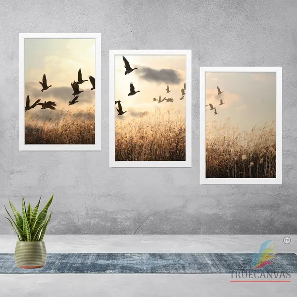 Multicolor_Abstract_Hd_Print_Painting_Set_Of_3_With_Frame_|_For_Home,_Living_Room_Gallery_&_Office,_White,_Size_-_13.50_X_19.50_Inch,_Sf231