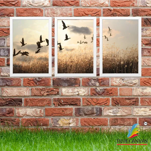 Multicolor_Abstract_Hd_Print_Painting_Set_Of_3_With_Frame_|_For_Home,_Living_Room_Gallery_&_Office,_White,_Size_-_13.50_X_19.50_Inch,_Sf231