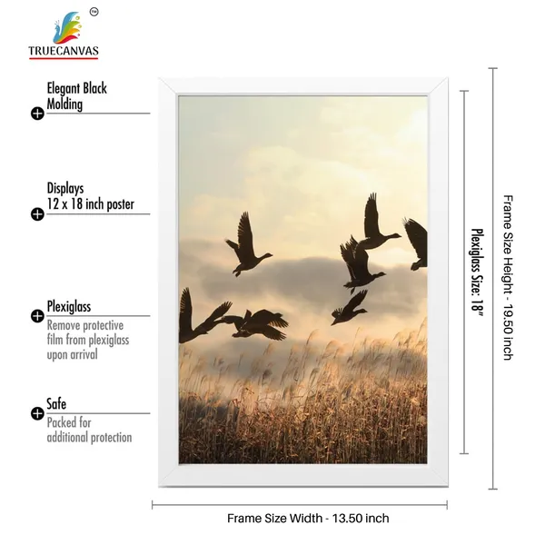 Multicolor_Abstract_Hd_Print_Painting_Set_Of_3_With_Frame_|_For_Home,_Living_Room_Gallery_&_Office,_White,_Size_-_13.50_X_19.50_Inch,_Sf231