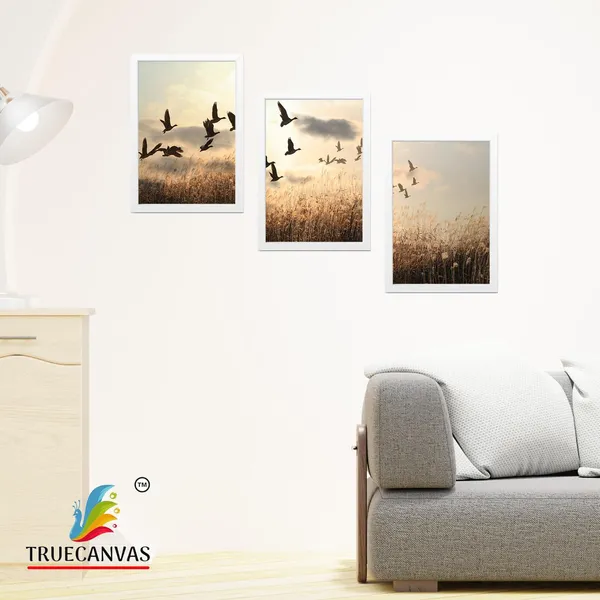 Multicolor_Abstract_Hd_Print_Painting_Set_Of_3_With_Frame_|_For_Home,_Living_Room_Gallery_&_Office,_White,_Size_-_13.50_X_19.50_Inch,_Sf231