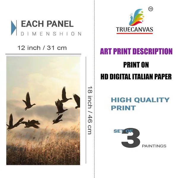 Multicolor_Abstract_Hd_Print_Painting_Set_Of_3_With_Frame_|_For_Home,_Living_Room_Gallery_&_Office,_White,_Size_-_13.50_X_19.50_Inch,_Sf231