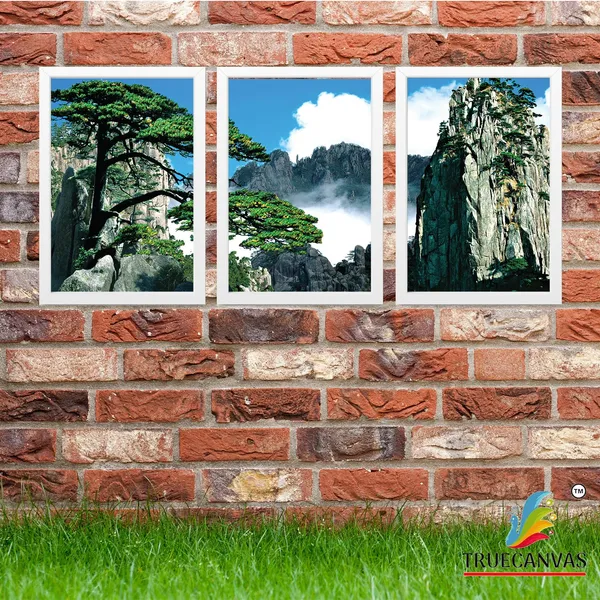 White__Abstract_Hd_Print_Painting_Set_Of_3_With_Frame_|_For_Home,_Living_Room_Gallery_&_Office,_White,_Size_-_13.50_X_19.50_Inch,_Sf244