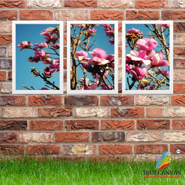 White__Abstract_Hd_Print_Painting_Set_Of_3_With_Frame_|_For_Home,_Living_Room_Gallery_&_Office,_White,_Size_-_13.50_X_19.50_Inch,_Sf247