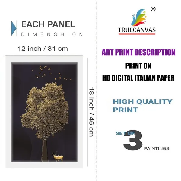Multicolor_Abstract_Hd_Print_Painting_Set_Of_3_With_Frame_|_For_Home,_Living_Room_Gallery_&_Office,_White_Frame,_Size_-_13.50_X_19.50_Inch,_Sf257