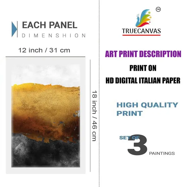 Multicolor_Abstract_Hd_Print_Painting_Set_Of_3_With_Frame_|_For_Home,_Living_Room_Gallery_&_Office,_White_Frame,_Size_-_13.50_X_19.50_Inch,_Sf265