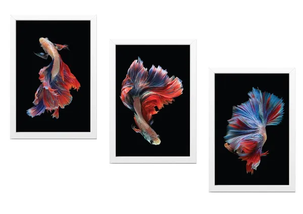 White__Abstract_Hd_Print_Painting_Set_Of_3_With_Frame_|_For_Home,_Living_Room_Gallery_&_Office,_White_Frame,_Size_-_13.50_X_19.50_Inch,_Sf277