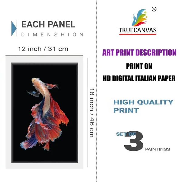 White__Abstract_Hd_Print_Painting_Set_Of_3_With_Frame_|_For_Home,_Living_Room_Gallery_&_Office,_White_Frame,_Size_-_13.50_X_19.50_Inch,_Sf277