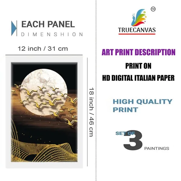 White__Abstract_Hd_Print_Painting_Set_Of_3_With_Frame_|_For_Home,_Living_Room_Gallery_&_Office,_White_Frame,_Size_-_13.50_X_19.50_Inch,_Sf279