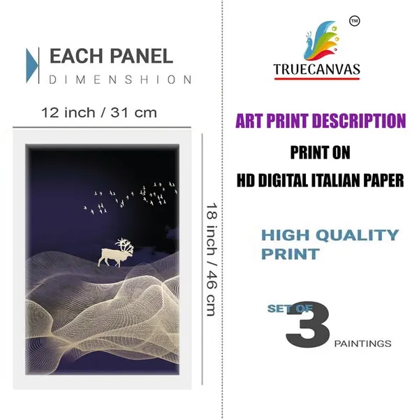 White__Abstract_Hd_Print_Painting_Set_Of_3_With_Frame_|_For_Home,_Living_Room_Gallery_&_Office,_White_Frame,_Size_-_13.50_X_19.50_Inch,_Sf282