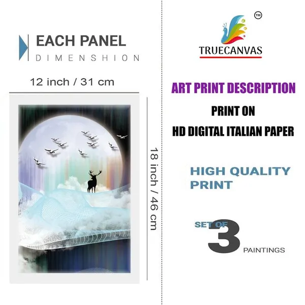 White__Abstract_Hd_Print_Painting_Set_Of_3_With_Frame_|_For_Home,_Living_Room_Gallery_&_Office,_White_Frame,_Size_-_13.50_X_19.50_Inch,_Sf287