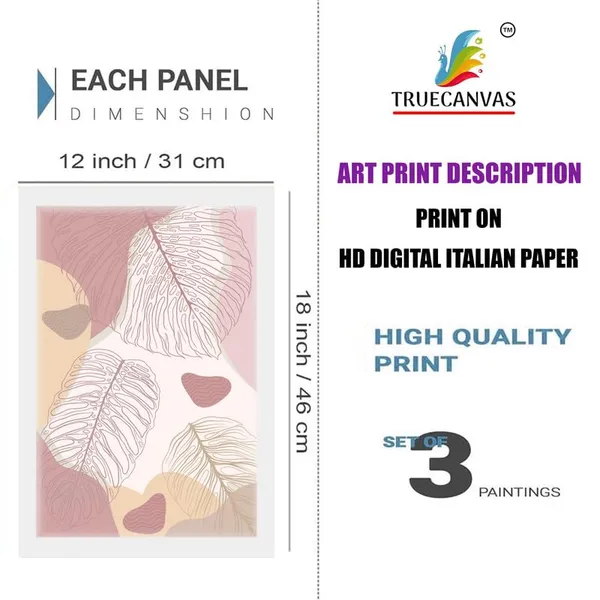 White__Abstract_Hd_Print_Painting_Set_Of_3_With_Frame_|_For_Home,_Living_Room_Gallery_&_Office,_White_Frame,_Size_-_13.50_X_19.50_Inch,_Sf356