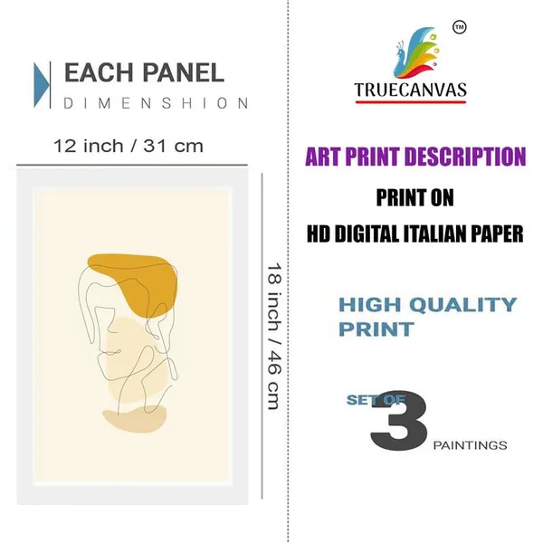 Multicolor_Abstract_Hd_Print_Painting_Set_Of_3_With_Frame_|_For_Home,_Living_Room_Gallery_&_Office,_White_Frame,_Size_-_13.50_X_19.50_Inch,_Sf369