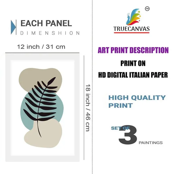 Multicolor_Abstract_Hd_Print_Painting_Set_Of_3_With_Frame_|_For_Home,_Living_Room_Gallery_&_Office,_White_Frame,_Size_-_13.50_X_19.50_Inch,_Sf398