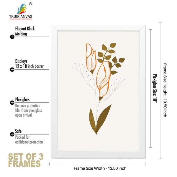 White__Abstract_Hd_Print_Painting_Set_Of_3_With_Frame_|_For_Home,_Living_Room_Gallery_&_Office,_White_Frame,_Size_-_13.50_X_19.50_Inch,_Sf399