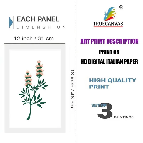 White__Abstract_Hd_Print_Painting_Set_Of_3_With_Frame_|_For_Home,_Living_Room_Gallery_&_Office,_White_Frame,_Size_-_13.50_X_19.50_Inch,_Sf448