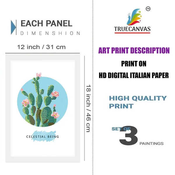White__Abstract_Hd_Print_Painting_Set_Of_3_With_Frame_|_For_Home,_Living_Room_Gallery_&_Office,_White_Frame,_Size_-_13.50_X_19.50_Inch,_Sf469