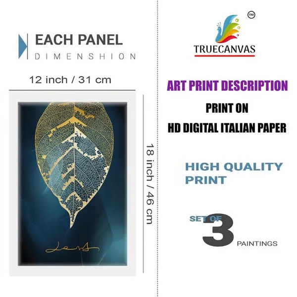 White__Abstract_Hd_Print_Painting_Set_Of_3_With_Frame_|_For_Home,_Living_Room_Gallery_&_Office,_White_Frame,_Size_-_13.50_X_19.50_Inch,_Sf479