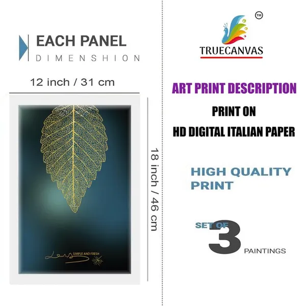 White__Abstract_Hd_Print_Painting_Set_Of_3_With_Frame_|_For_Home,_Living_Room_Gallery_&_Office,_White_Frame,_Size_-_13.50_X_19.50_Inch,_Sf494