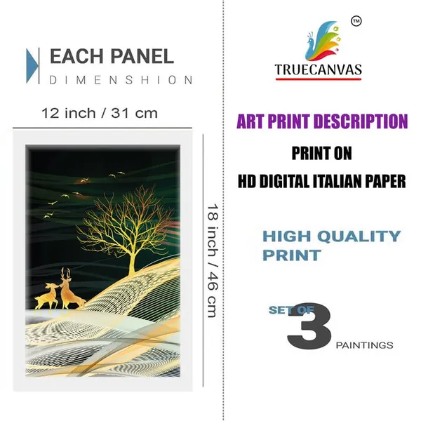 White__Abstract_Hd_Print_Painting_Set_Of_3_With_Frame_|_For_Home,_Living_Room_Gallery_&_Office,_White_Frame,_Size_-_13.50_X_19.50_Inch,_Sf504