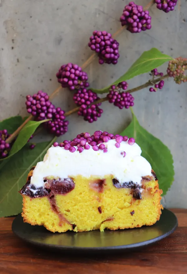 Beauty_Berry_Live_Plant
