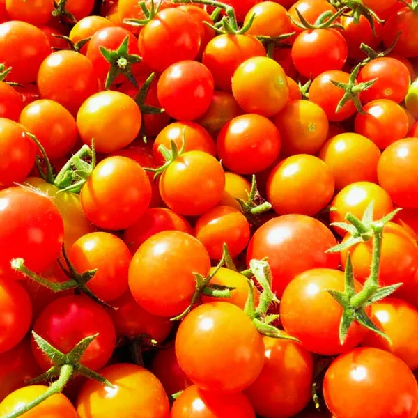 Cherry_Tomato_Seeds_Hybrid_(50pcs)