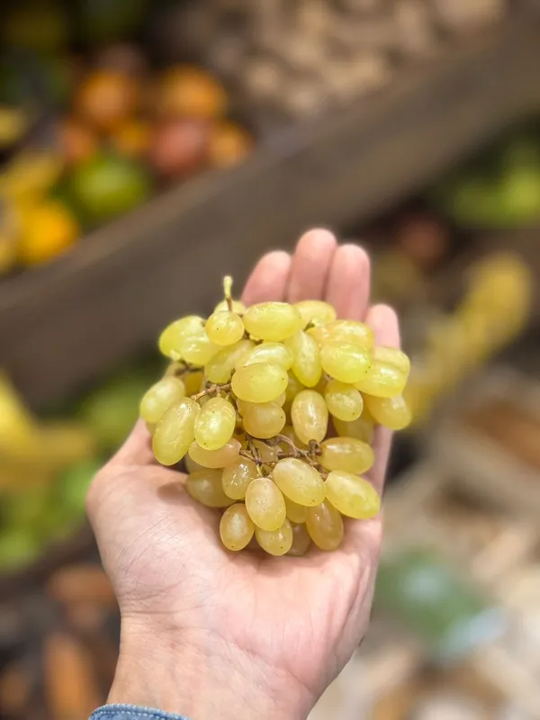 Combo_Plant-Joy_Seedless_grape_And_Manikchaman_Grape_live_Plant