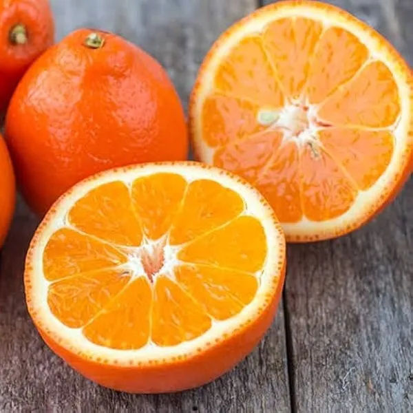 Seedless_Orange_Plant_|_Grafted_And_Hybrid_Plants