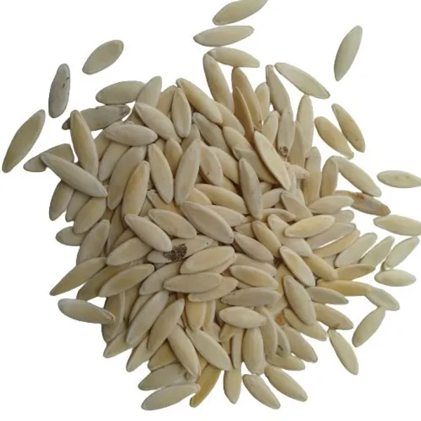 Hybrid_Cucumber_Seeds_50pcs