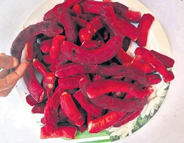 Red_Sweet_Tamarind_Plant_|_Grafted_And_Hybrid_Plant