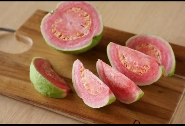 JH-2_Guava_Live_Plant