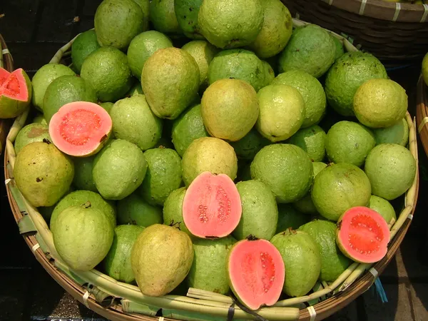 Taiwan_Pink_Guava_Plant_|_Grafted_And_Hybrid_Plants_(2_Feet_Height)