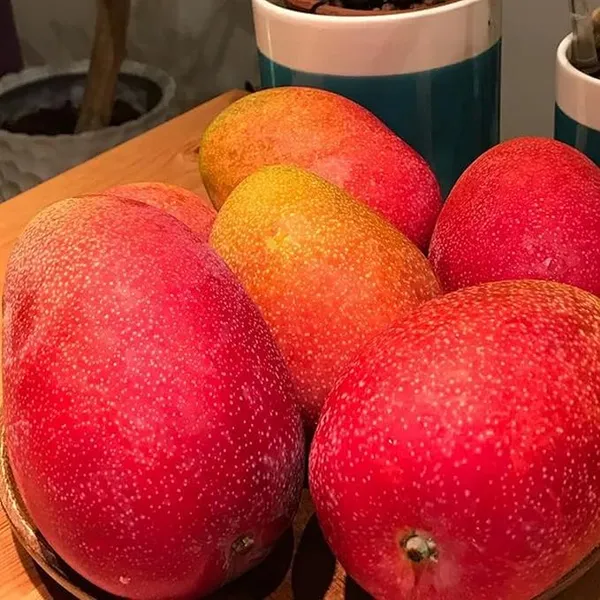 Egg_Of_Sung_Mango_Fruit_Plant