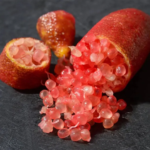 Finger_Lemon_Red_|_Grafted_And_Hybrid_Plants_(1.5_-_2_Feet_Height)