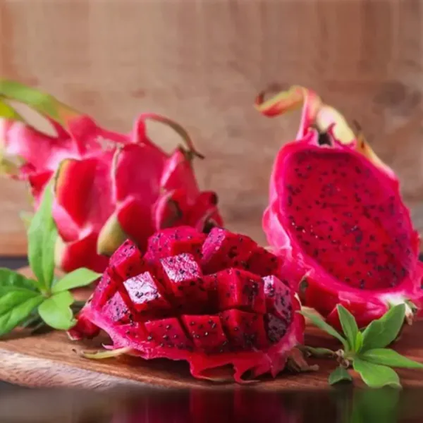 Dragon_Fruit_Red_|_Grafted_And_Hybrid_Plants