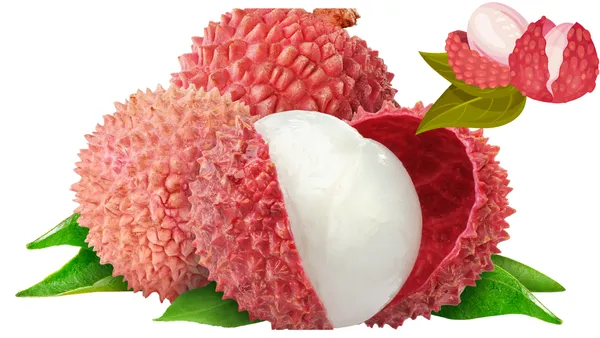 Chaina_3_Litchi_Plant_(1.5_-_2_Feet_Height)