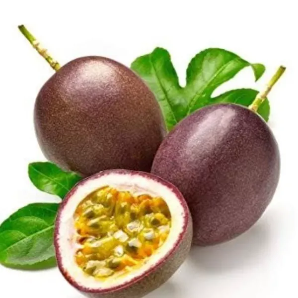 Passion_Fruit_Plant_Live_Plant_For_Home_Garden