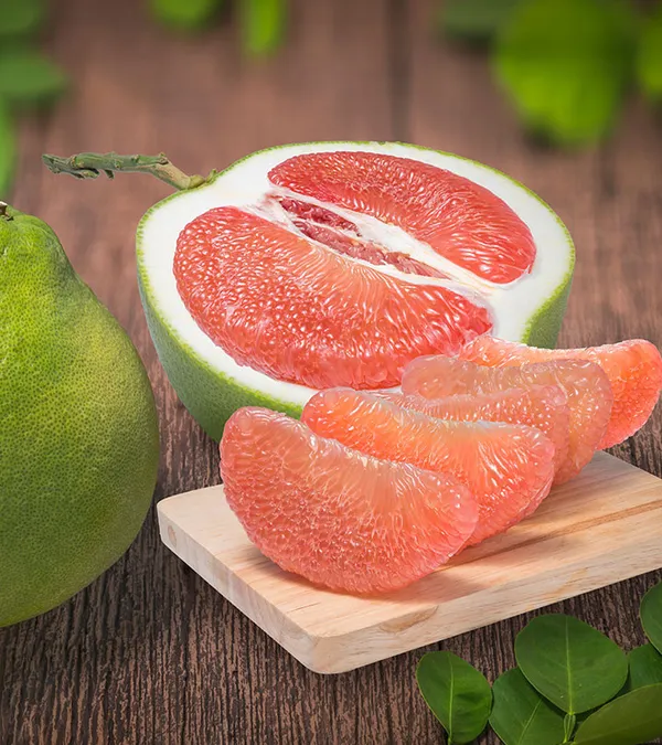 Pomelo_Fruit_Plant(Batabi_Lebu)_Live_Plant_For_Home_Garden