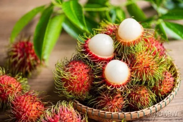 Rambutan_Fruit_Plant_For_Home_Garden