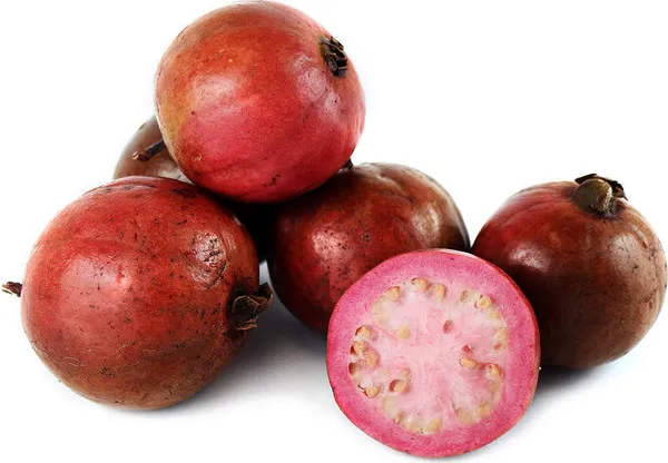 Red_Strawberry_Guava_Fruit_Plant_Live_Plant_For_Home_Garden