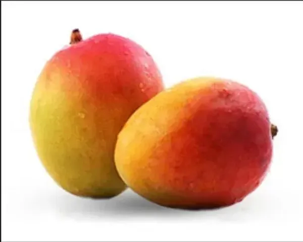 Sindur_Kouta_Grafted_Mango_Plant_Live_Plant_For_Home_Garden