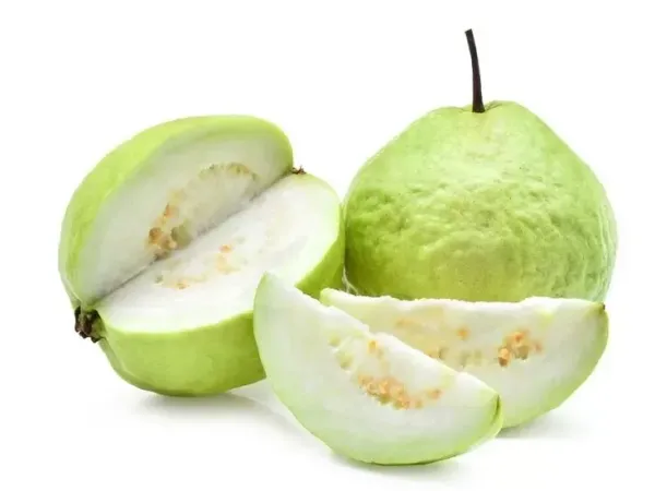 Thai_7_Guava_Fruit_Plant_For_Home_Garden